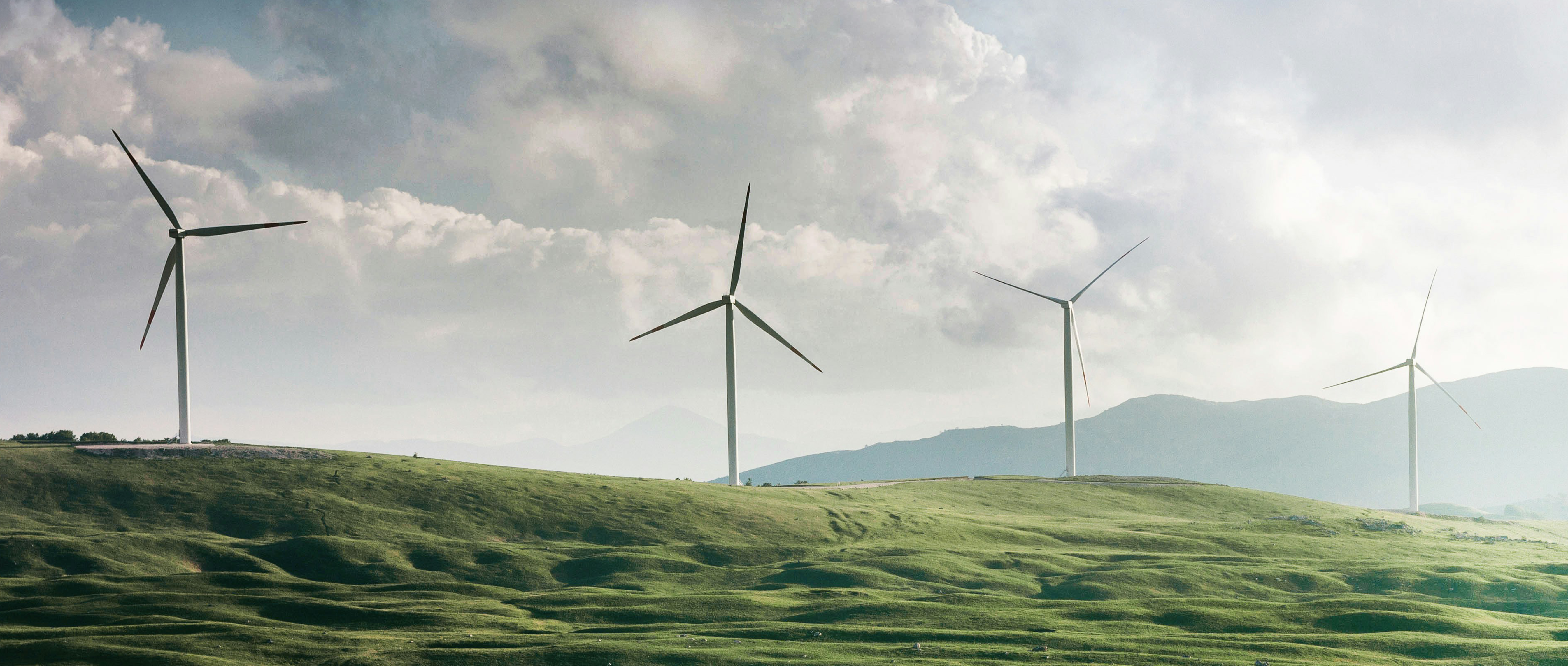 Exclusive new insights for innovators on India’s green hydrogen sector